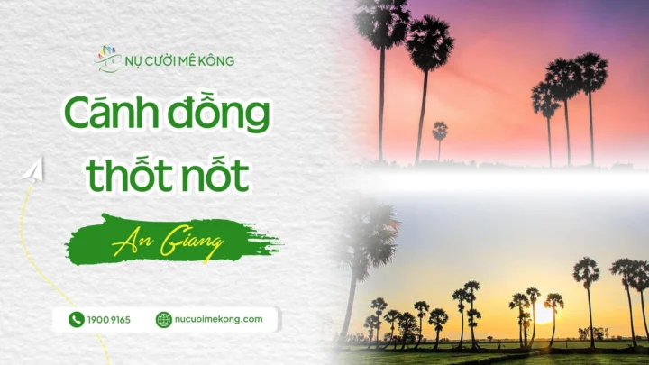 Cánh đồng thốt nốt An Giang
