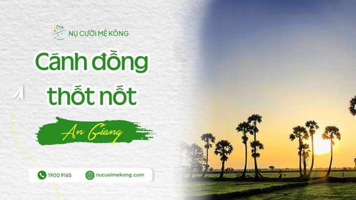 Cánh đồng thốt nốt An Giang
