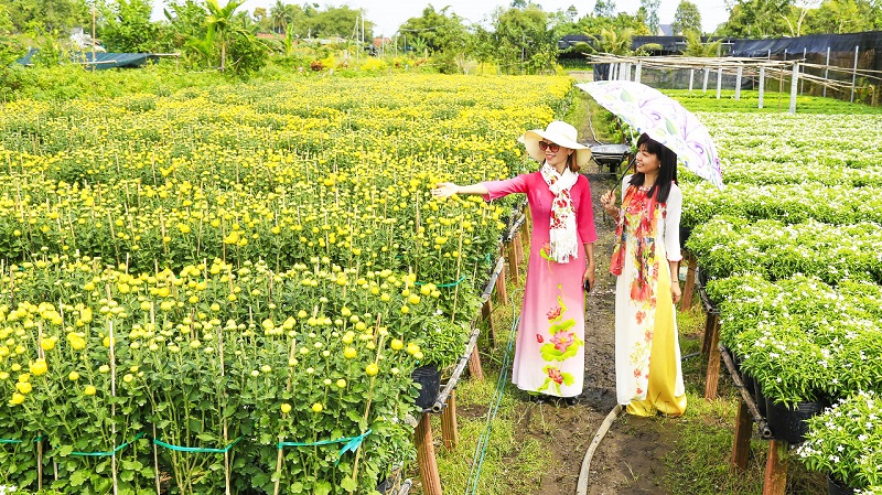 Check-in làng hoa Sa Đéc - tour du lịch vườn quýt hồng Lai Vung Đồng Tháp