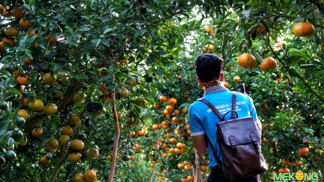 Nụ Cười Mê Kông