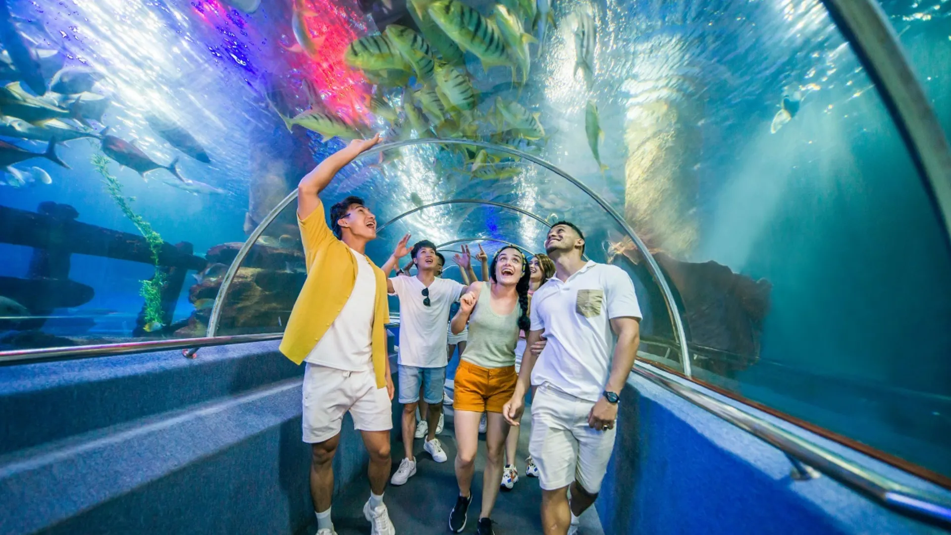 Sea World - Thế giới đại dương tại VinWonder Nha Trang