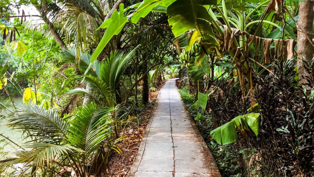 Nụ Cười Mê Kông