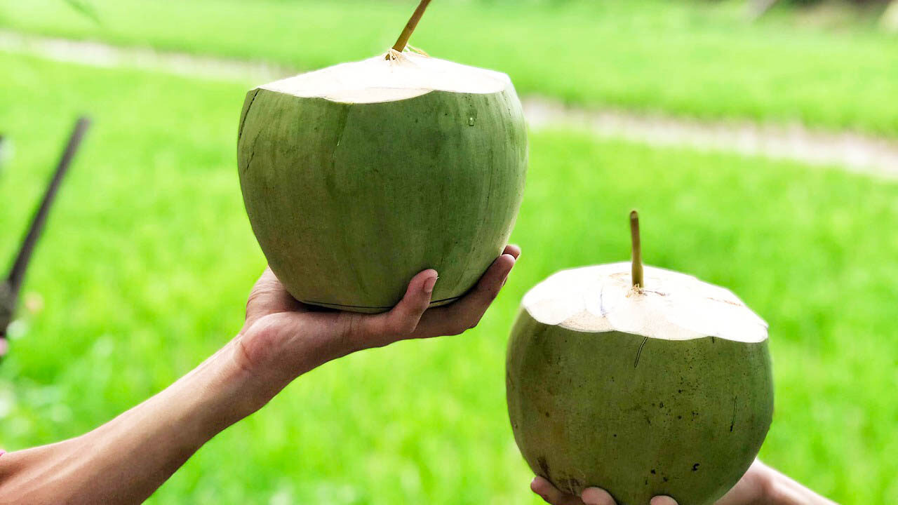 Uống dừa tươi bằng ống hút thân thiện với môi trường