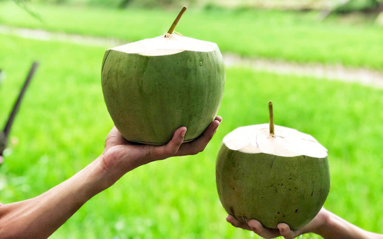 Uống dừa tươi bằng ống hút thân thiện với môi trường
