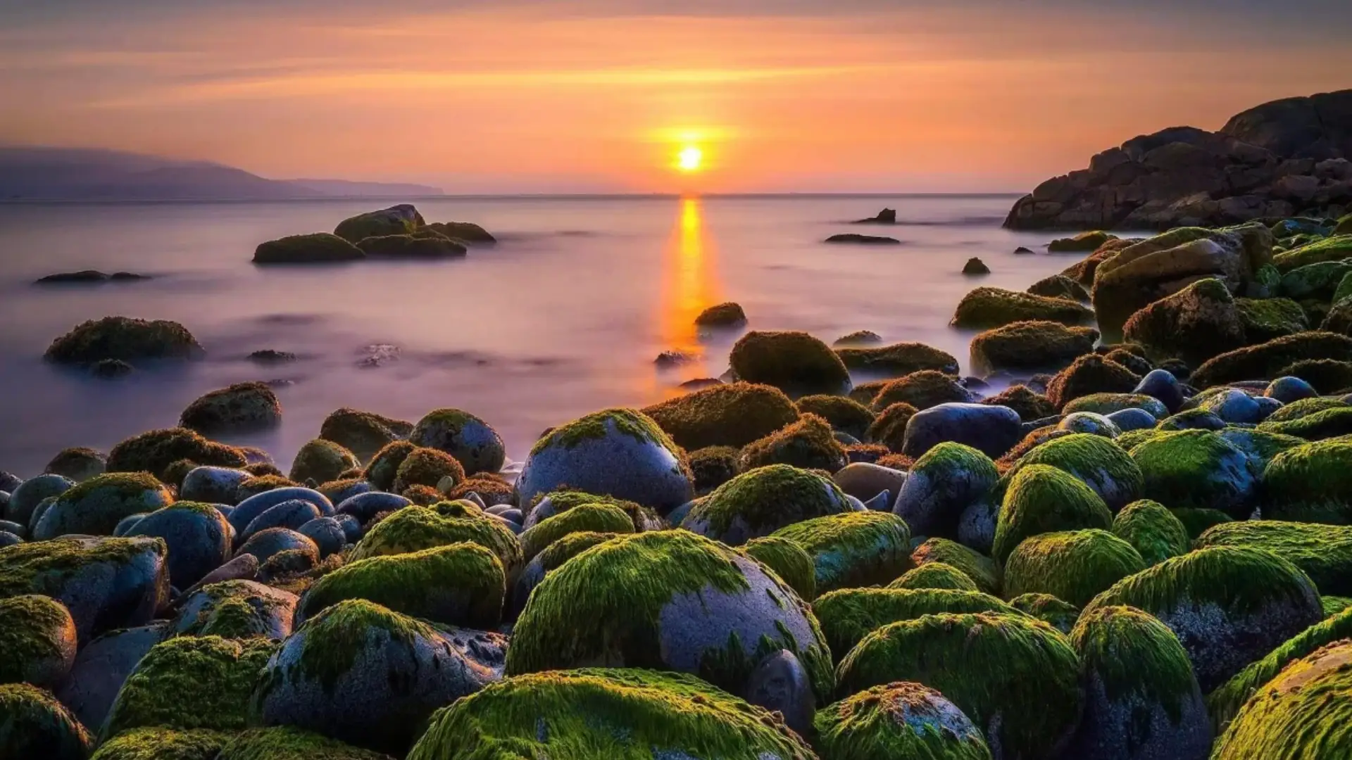 Bình minh trên bãi đá trứng - Ghềnh Ráng