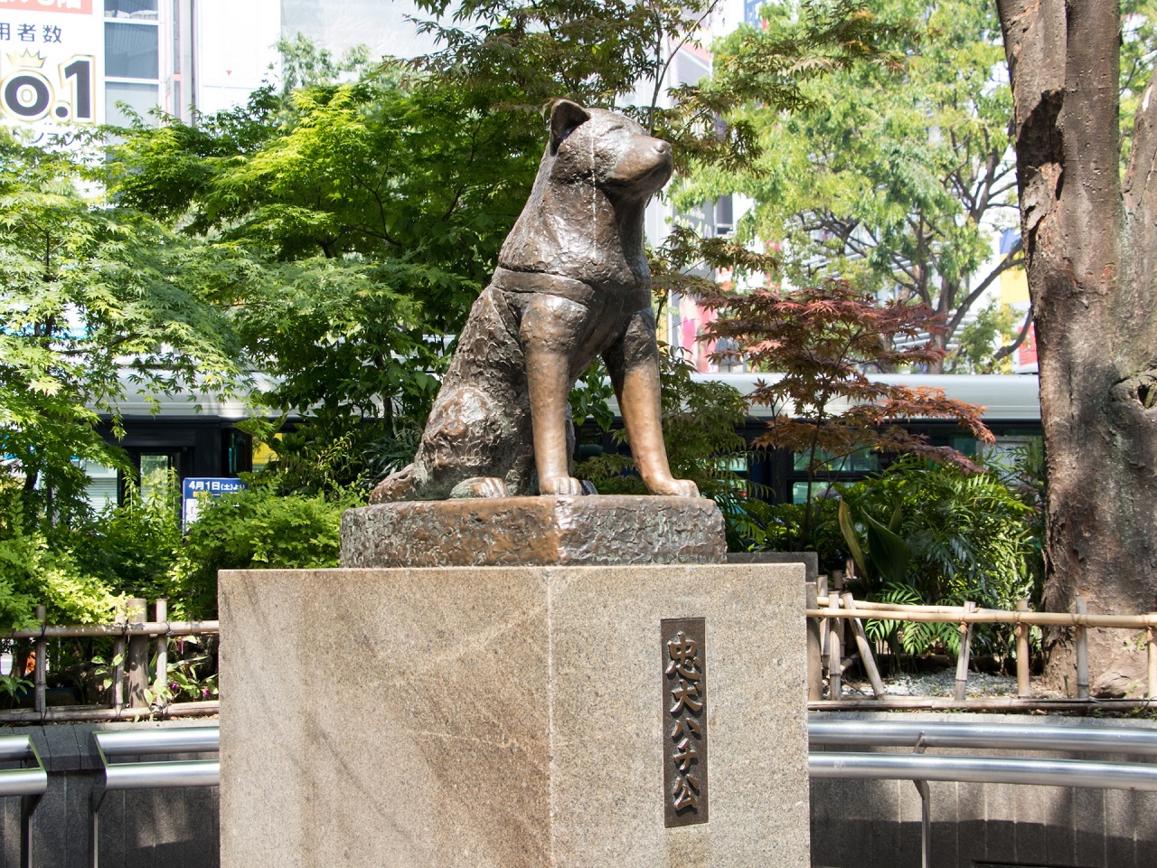 Bức tượng chú chó Hachiko