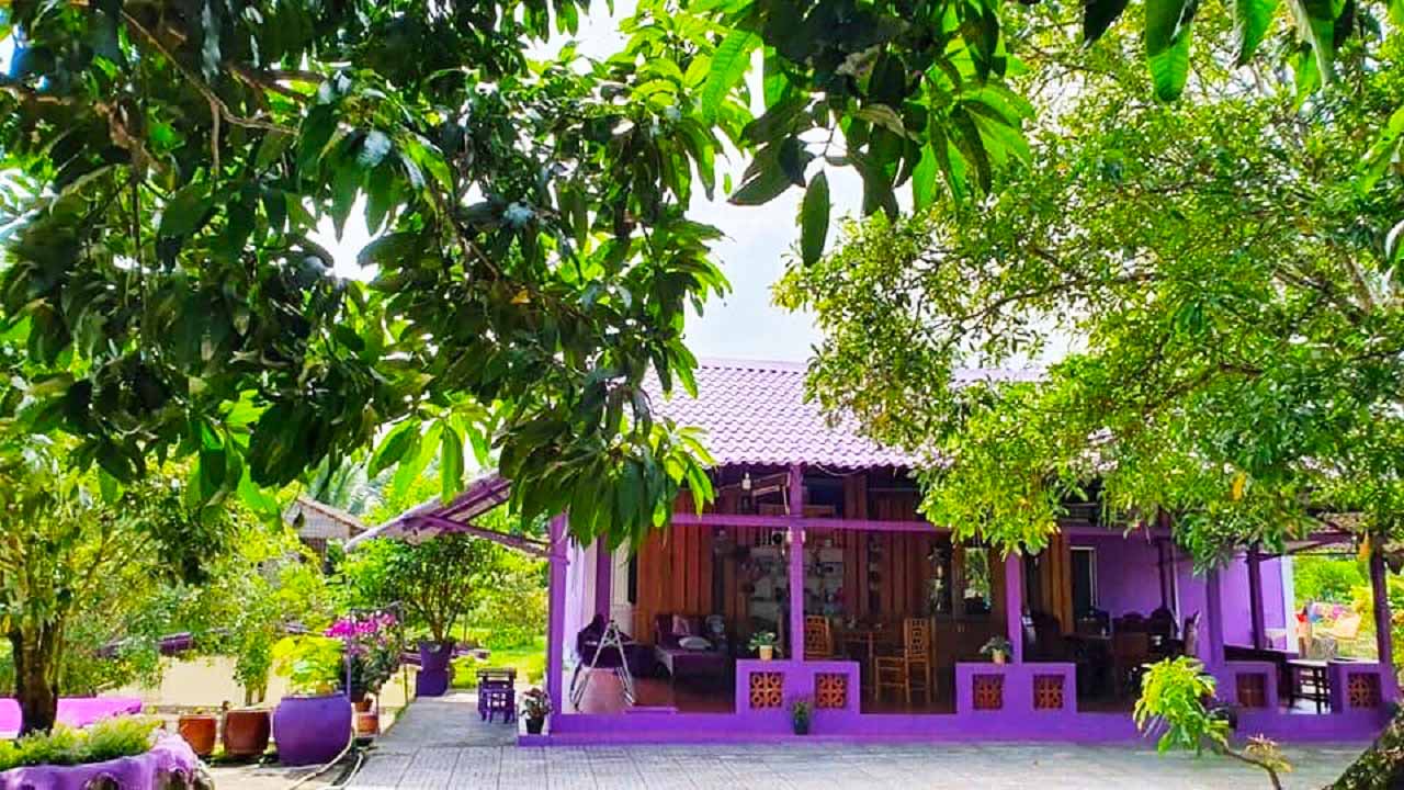 Căn nhà màu tím mang đậm nét kiến trúc Nam Bộ