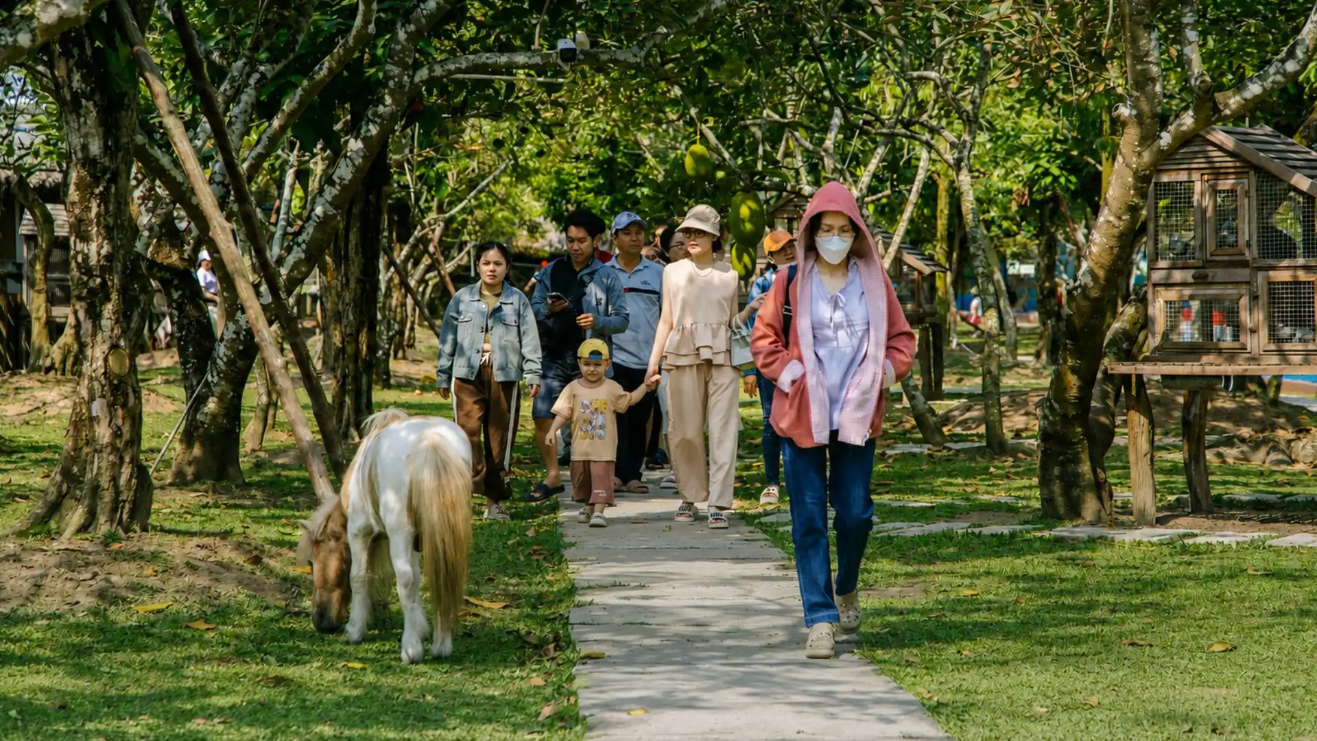 Vườn trái cây miền Tây xanh mát tại Cần Thơ Eco Resort trong tour về miền thương 2 ngày 1 đêm