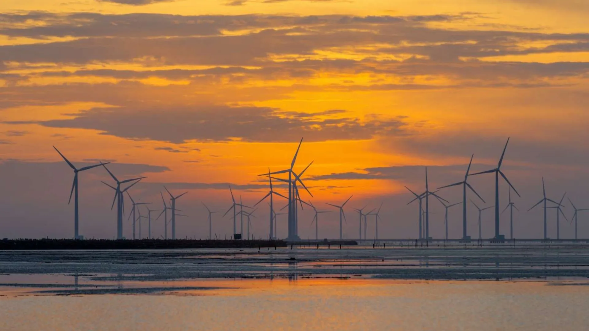 Lịch trình Bạc Liêu 1 ngày với hàng turbine điện gió ven biển