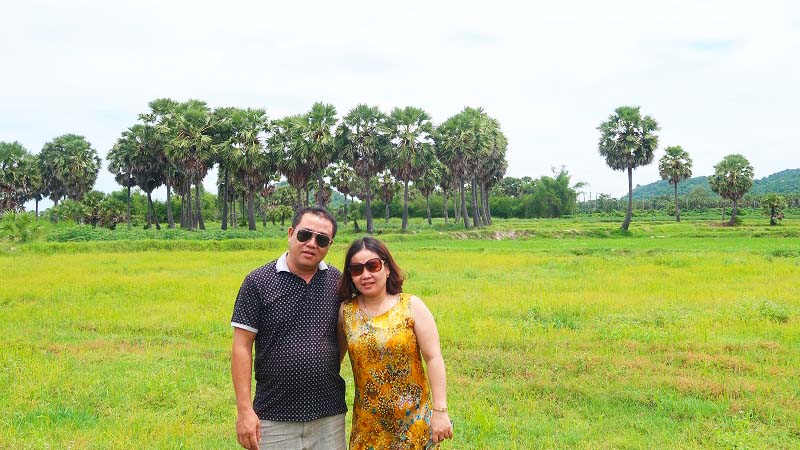 Check-in cánh đồng thốt nốt cực đẹp ở An Giang