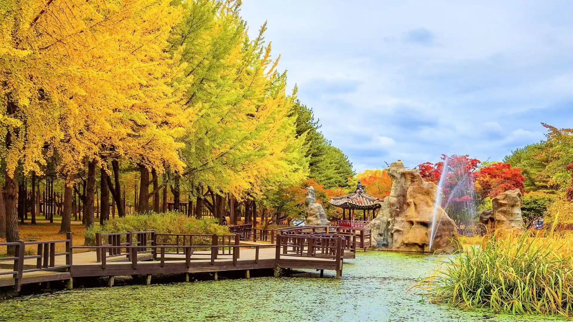 Cầu gỗ tình nhân bao quanh bởi rừng lá
