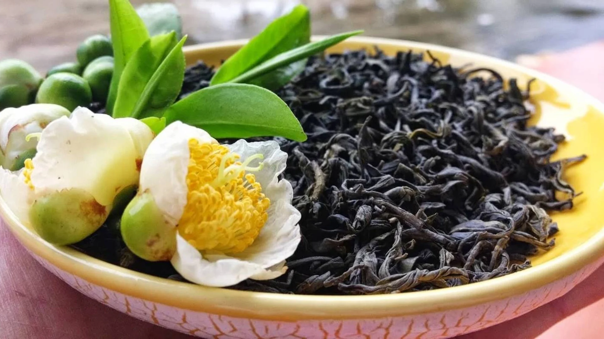 Chè San Tuyết Ô Quy Hồ là đặc sản Lào Cai