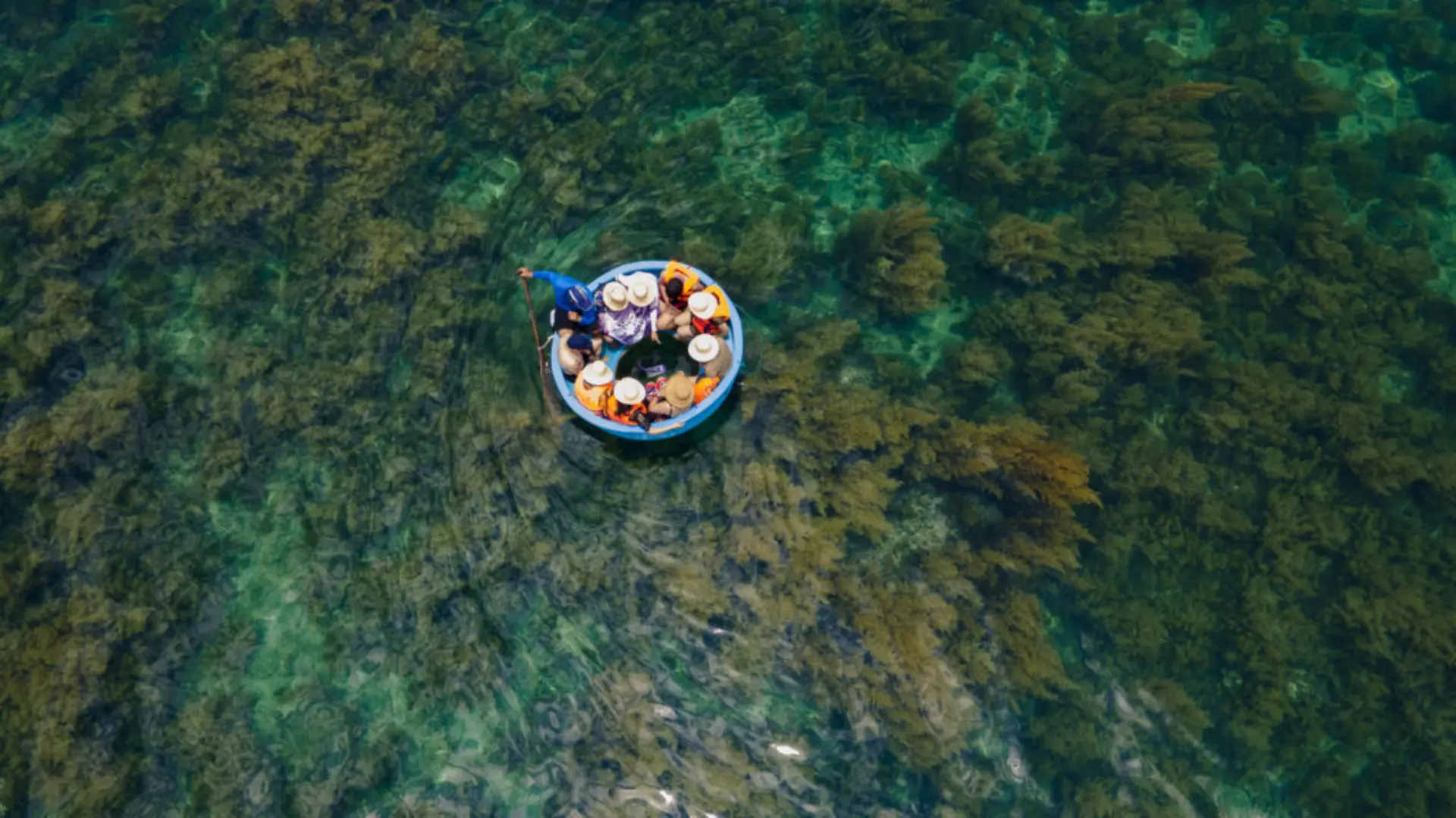 Ngắm san hô bằng thuyền thúng tại Bãi Dứa Quy Nhơn