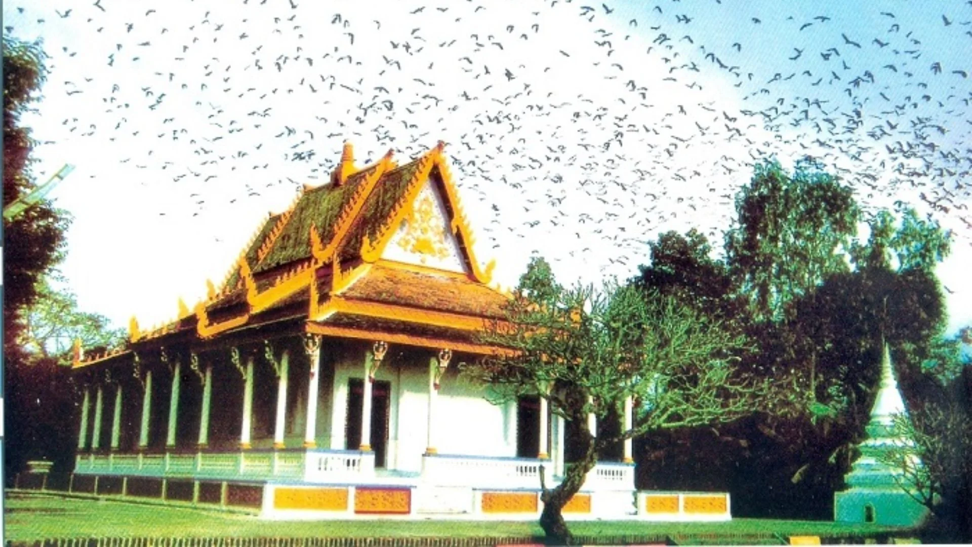 Chùa Dơi Sóc Trăng – Ngôi chùa nổi tiếng với hàng nghìn con dơi sinh sống