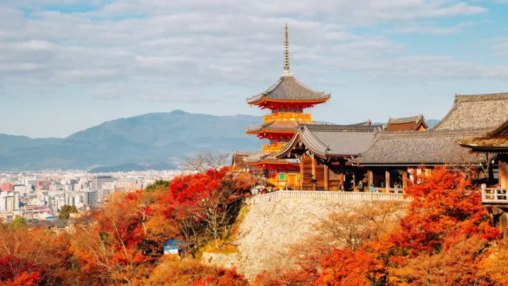 Chùa Thanh Thủy Kiyomizu-dera Kyoto trong mùa thu, lá đỏ rực bao quanh ngôi chùa gỗ cổ kính.
