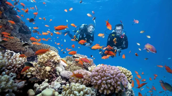 Chương trình câu cá - lặn ngắm san hô tại Phú Quốc