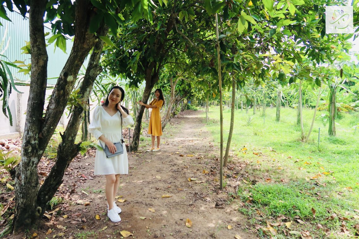 Chụp ảnh cùng hàng cây Mận (Roi) An Phước - Du lịch miệt vườn Ba Cống