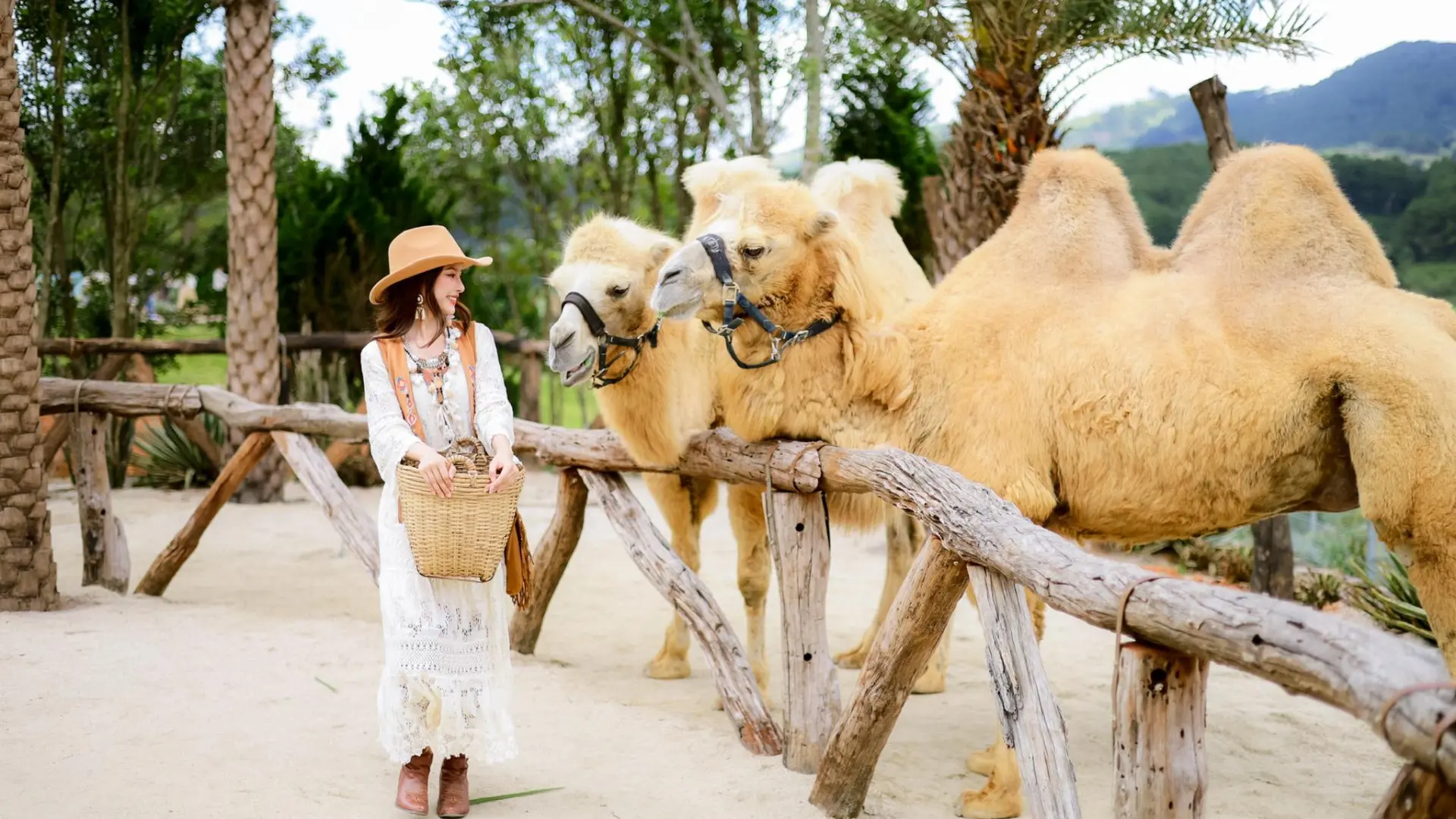 Du khách chụp ảnh với lạc đà tại Mongo Land