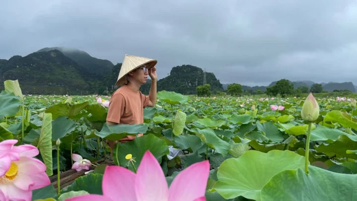 Chụp cùng hồ sen, cảnh đẹp Ninh Bình, Tour 1 ngày, Nụ cười Mê Kông.