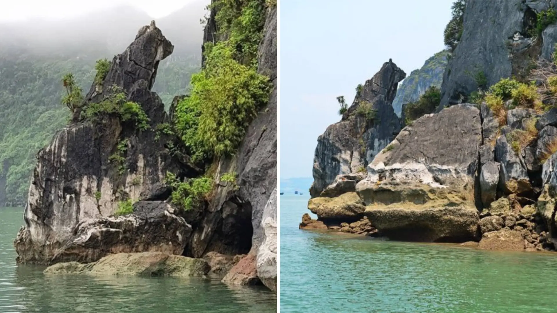 Tuyến tham quan Hòn Chó Đá kéo dài khoảng 4-6 giờ