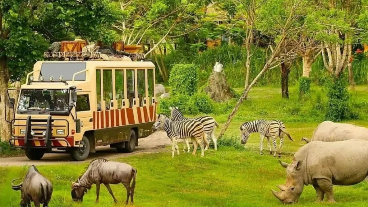 Trải nghiệm độc đáo 'nhốt người thả thú' tại Vinpearl Safari Phú Quốc, một phần của combo nghỉ dưỡng Nụ Cười Mê Kông.