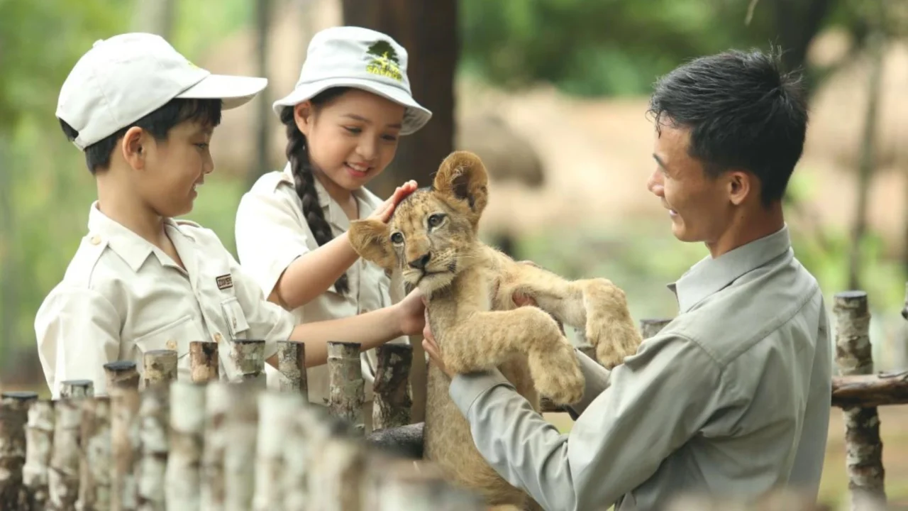 Em bé vui vẻ tương tác cùng sư tử tại Vinpearl Safari, hoạt động ý nghĩa trong combo nghỉ dưỡng Phú Quốc cho gia đình.