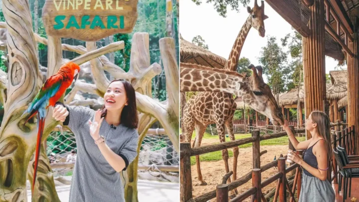 Vườn thú bán hoang dã tại Vinpearl Safari trong combo Phú Quốc 3 ngày 2 đêm của Nụ Cười Mê Kông