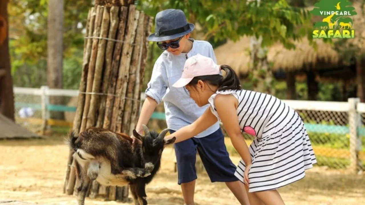 Du khách tương tác với động vật tại Vinpearl Safari Phú Quốc - hoạt động đáng nhớ trong tour của Nụ Cười Mê Kông.