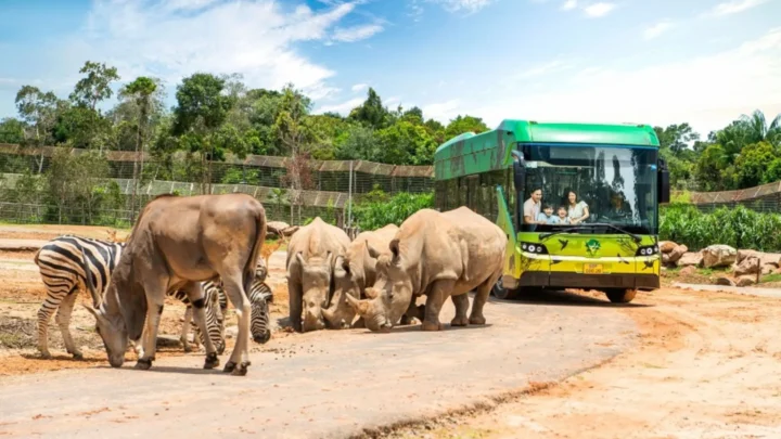 Khám phá Vinpearl Safari Phú Quốc bằng xe bus chuyên dụng, trải nghiệm vườn thú bán hoang dã trong gói combo 4 ngày 3 đêm.