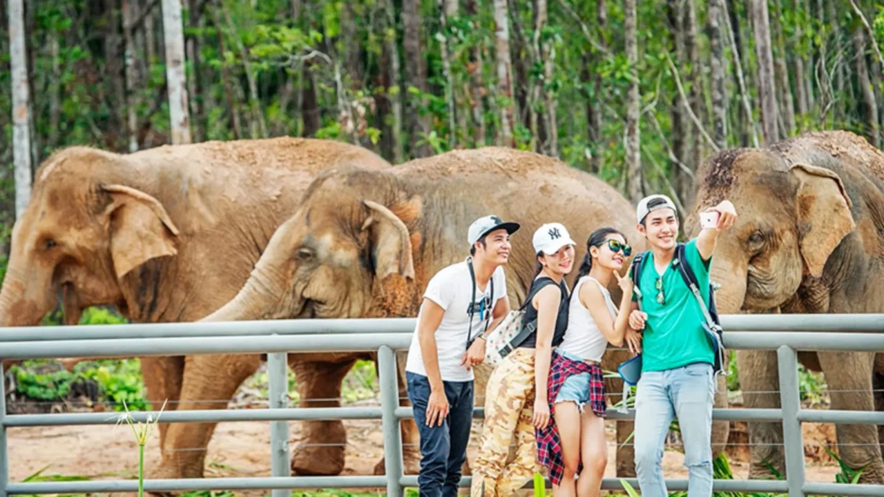 Du khách chụp ảnh và tương tác thân thiện với voi tại Vinpearl Safari trong combo Phú Quốc 5 ngày 4 đêm.