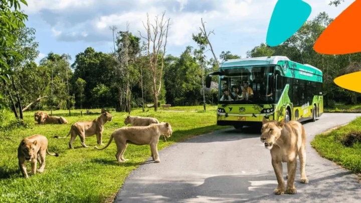 Vinpearl Safari Phú Quốc mô hình nhốt người thả thú trong combo 3 ngày 2 đêm Nụ Cười Mê Kông