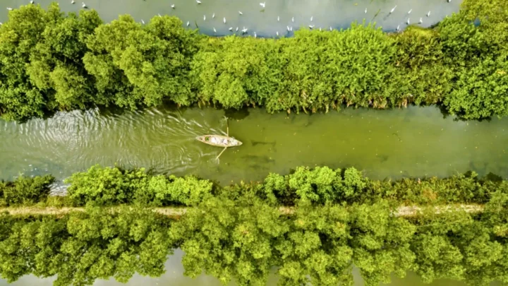 tour quy nhơn khám phá cồn chim bằng thuyền