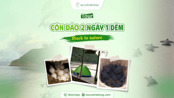 Tour Côn Đảo 2 ngày 1 đêm: Cắm trại - Xem rùa đẻ trứng