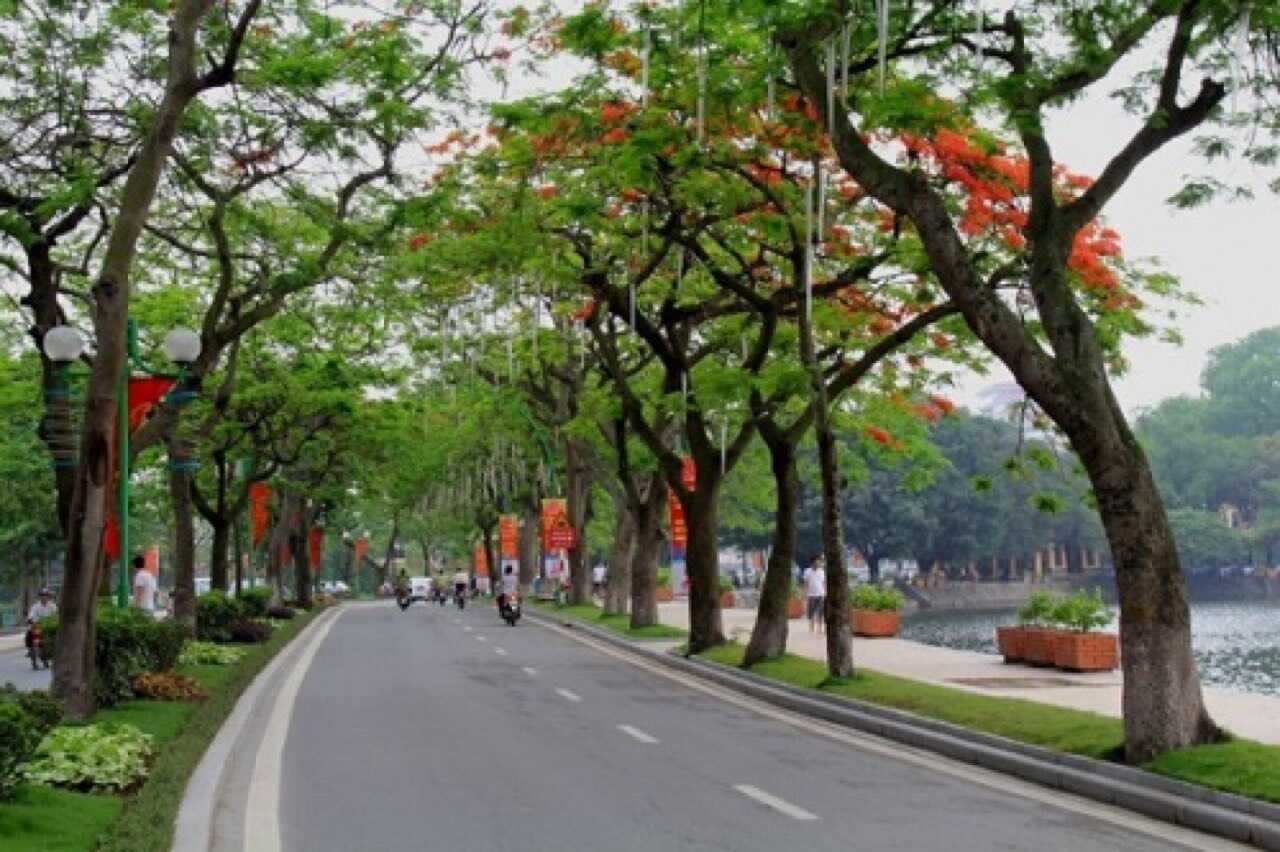 Con đường Thanh Niên Hồ Tây Hà Nội