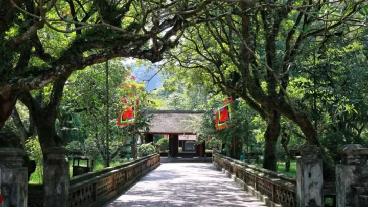 Con đường xanh rợp bóng cây, vào đền thờ vua Đinh Lê, Hoa Lư.