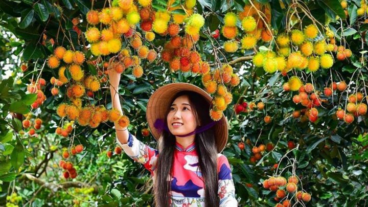 con-son-vao-mua-trai-cay