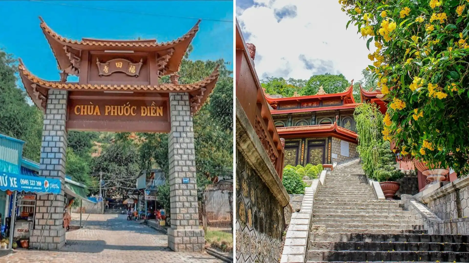 Cổng tam quan và bậc thang dẫn lên Chùa Hang, rợp bóng cây xanh.