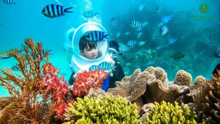 Công viên san hô tại Phú Quốc