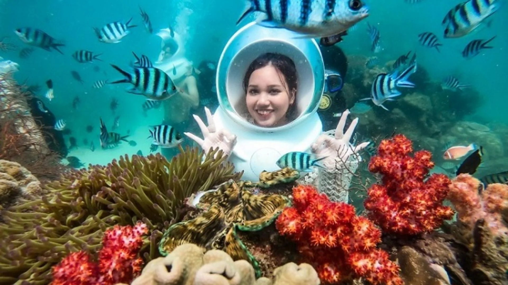 Công viên san hô tại Phú Quốc