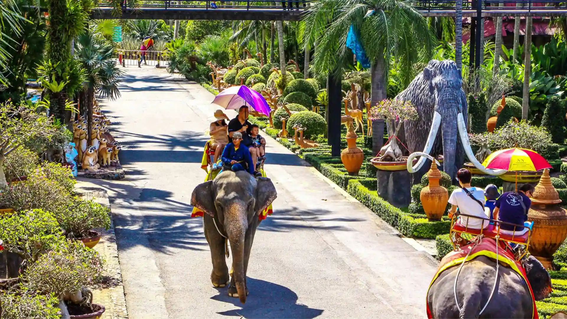 Trải nghiệm cưỡi voi tại Suanthai Pattaya – tour Bangkok Pattaya từ TPHCM