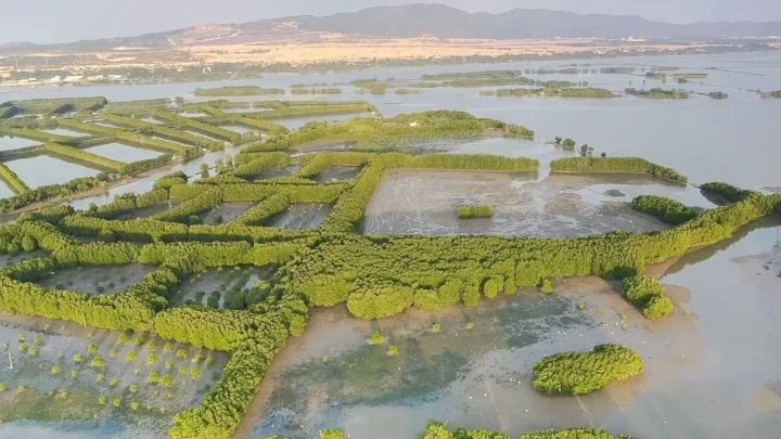 du ngoạn bằng thuyền khám phá hệ sinhh thái đa dạng đầm thị nại