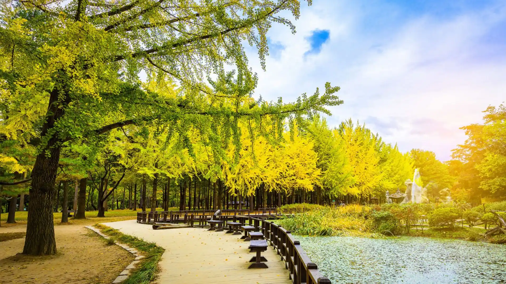 Dạo bước trên con đường tình yêu huyền thoại của Nami