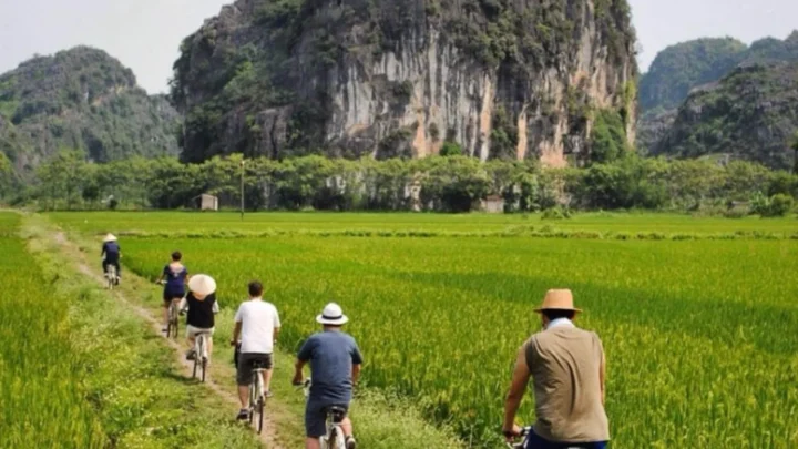 Đạp xe đồng lúa vàng rực bát ngát, trải nghiệm Ninh Bình, Nụ cười Mê Kông.