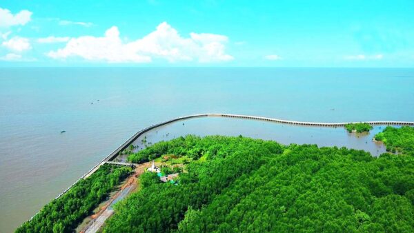 Kinh nghiệm đi Mũi Cà Mau từ A-Z: Đường đi, chi phí & trải nghiệm