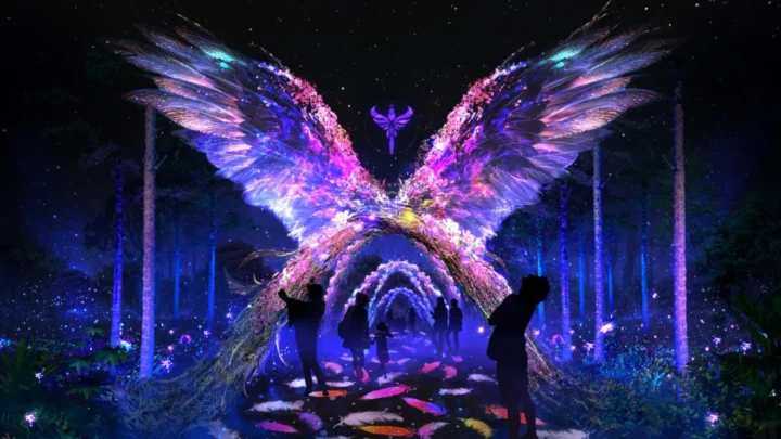 Delight Park – công viên ánh sáng trong tour Đà Lạt 3 ngày 3 đêm