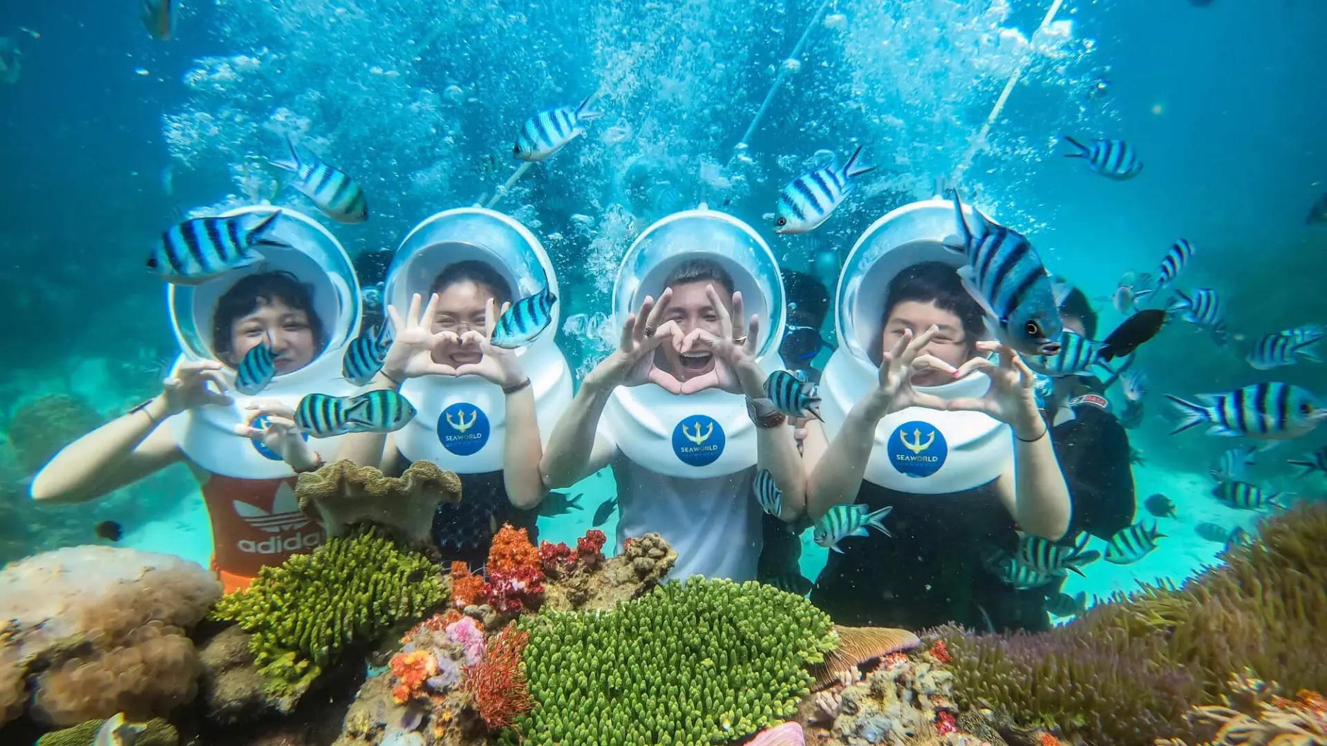 Tour Nha Trang 4 ngày 3 đêm – Lịch trình trọn gói di-bo-duoi-bien-bang-mu