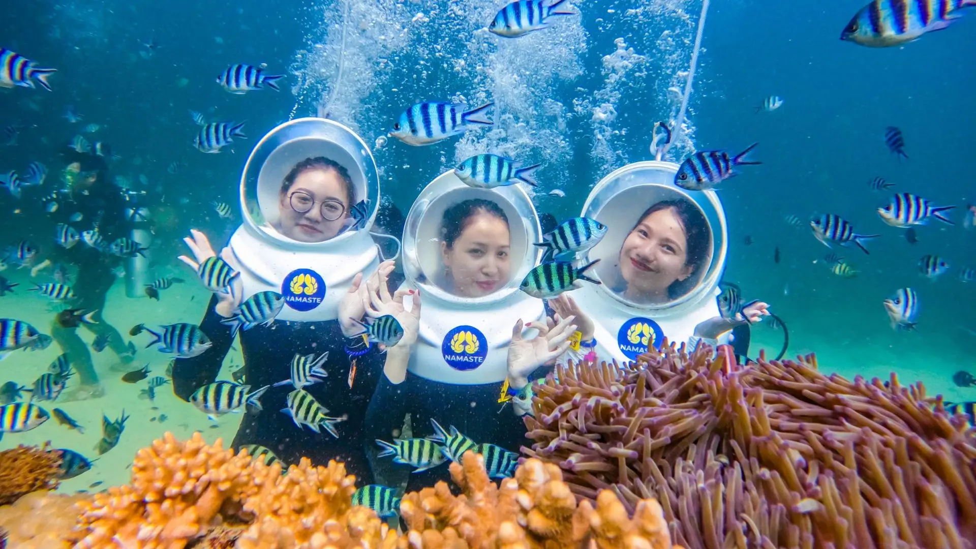 đội mũ phi hành gia, đi dạo giữa lòng đại dương