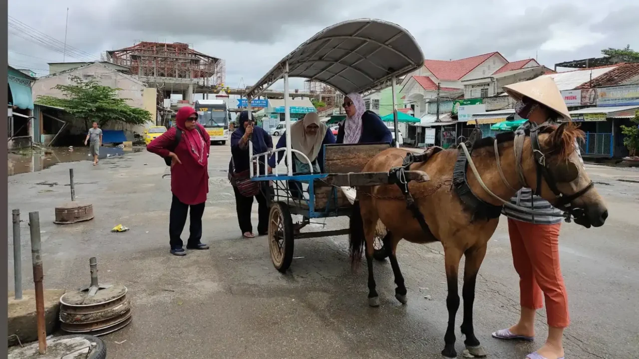 Nụ Cười Mê Kông