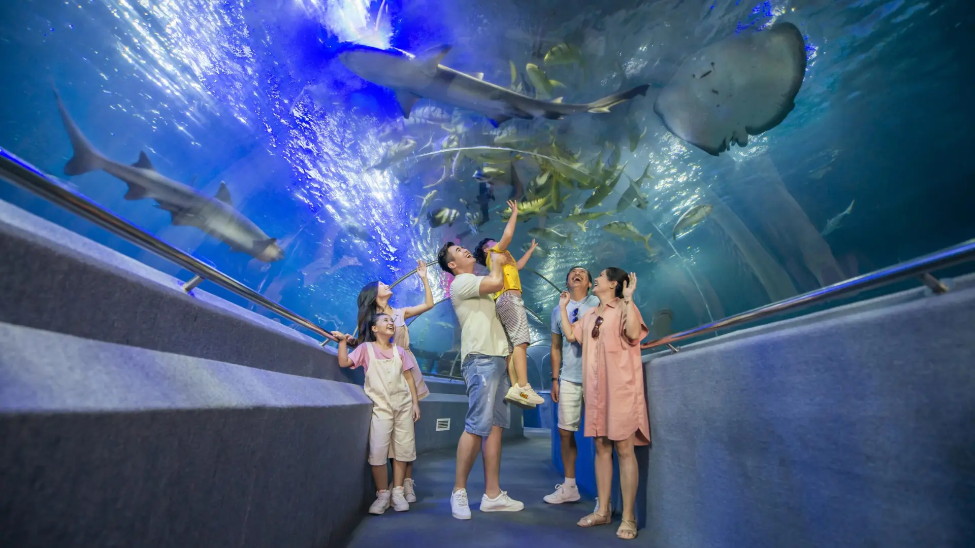 Đường hầm kính 360 độ tại Thủy cung Vinpearl Nha Trang