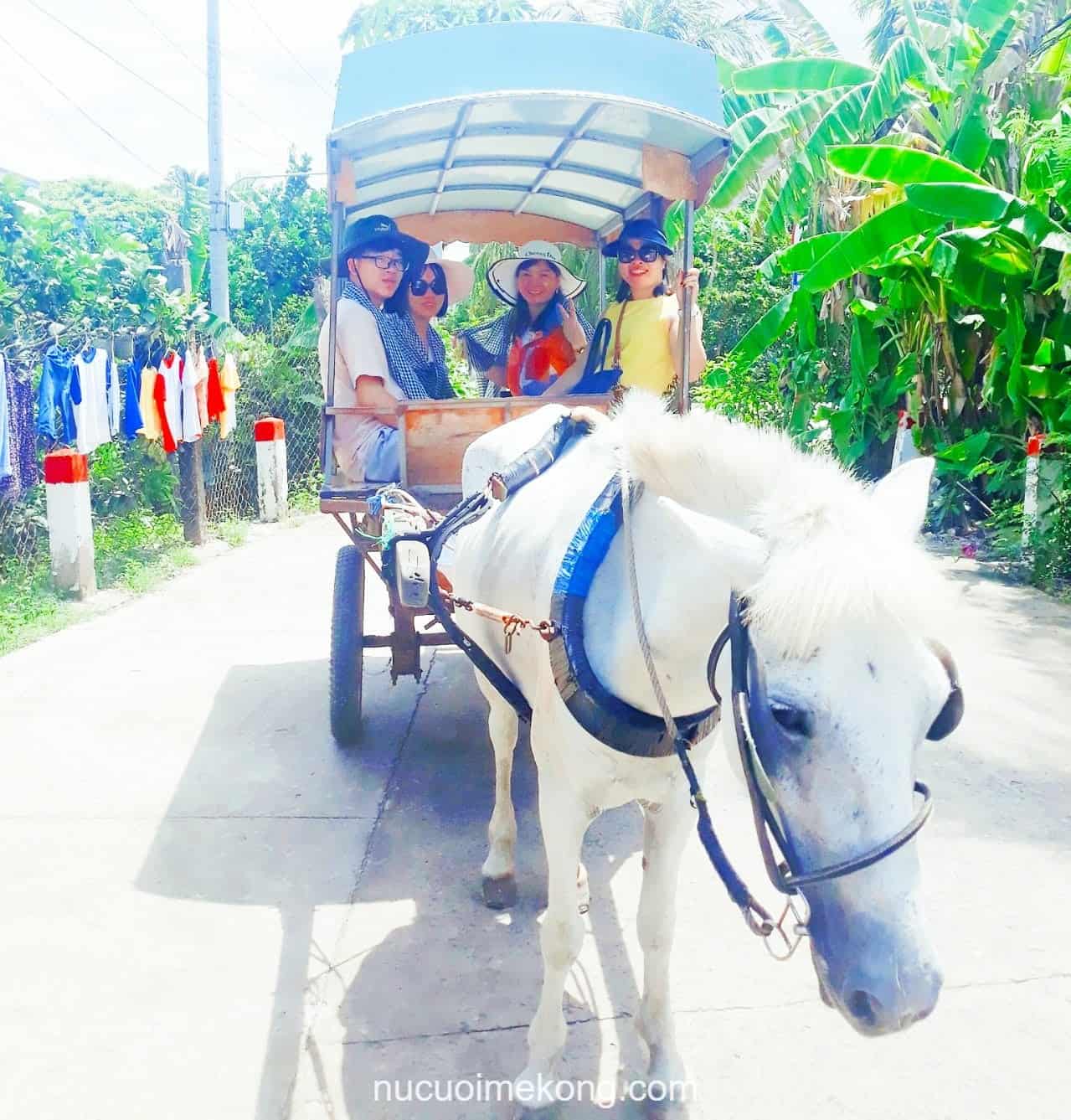 Trải nghiệm đi xe ngựa trong đường làng - tour Sài Gòn miền Tây 2 ngày 1 đêm
